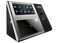п IFACE303