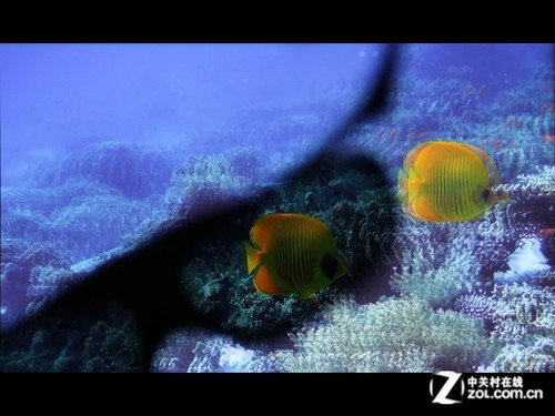 ЯLED3D΢Ͷ ǸZECO CX5ײ 