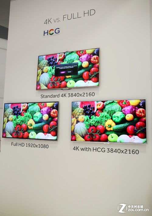 �����˱� �����׿��OLED�������� 