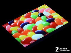 ˵iPad miniA8 