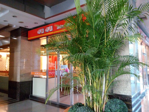 �����ĺ�ħ����Ϯ ����Memo 5Sȫ������ 