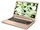 Acer V5-452G-85554G50amm