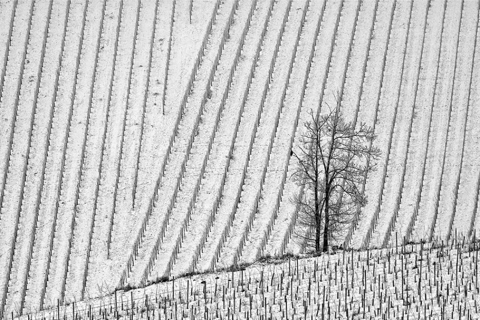 风光建筑集锦jurekravanja摄影作品二