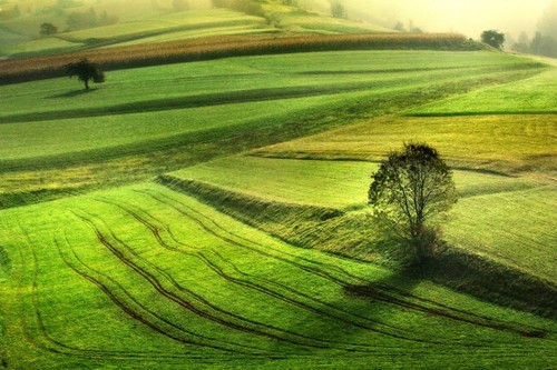 艳丽的好风景 jure kravanja摄影作品赏