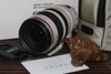 ����EF&nbsp;28-300mm&nbsp;f/3.5-5.6L&nbsp;IS&nbsp;USM��˲������Զ���ľ�������ű�������������ϸ�µľ�����������Զ��佹��ͷ���еĸ��������е�ȡ���;���ı����黯���֣��ʺ�������д��Ұ�������������ġ�