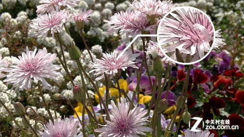 ��׽˲�侫�� JVC PX100����ȫ���� 