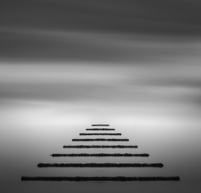 无"颜"的力量:安静深邃的黑白魔力照片