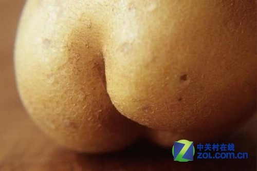 伪装大师 那些潜藏在蔬菜界的变形金刚