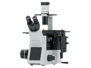 ���ְ�˹IX53-A21PH