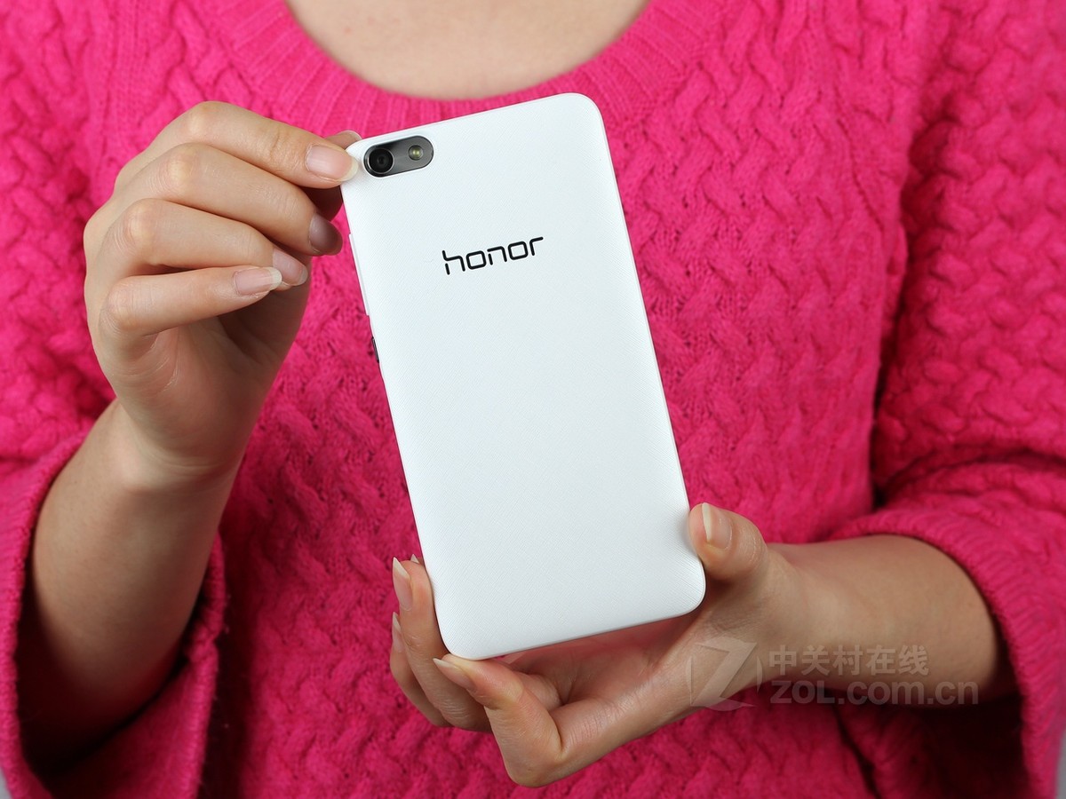 荣耀畅玩4x(che1-cl20/全网通)