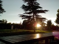 vivo S12 2012��������4