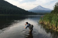 ƻ��iPhone 6S��ȫ��ͨ��������0