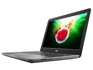 戴尔灵越 15 5000系列出彩版 复古灰(Ins 15-5567-D1625A)