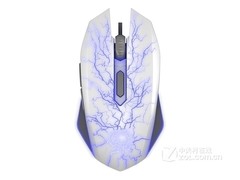 A.����AML����è��Ϸ���