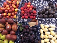 ��������E2��3GB RAM/ȫ��ͨ��������3