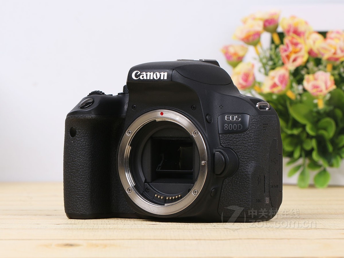 【高清图】 佳能(canon)800d套机(18-55mm is stm)实拍图 图316