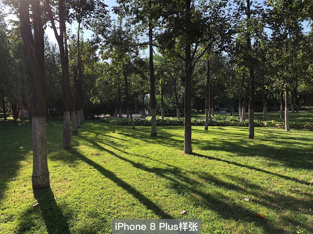 【高清图】 苹果iphone8|plus评测 拍照才是真亮点图69