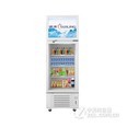 穗凌(SUILING)LT4-248 248升立式冷柜双温冷冻冷藏玻璃门展示冰柜(浅灰) 