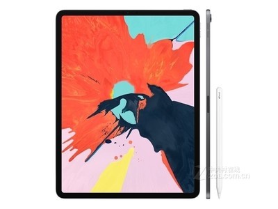 ƻ iPad Pro 12.9Ӣ磨256GB/WLANۡ)ȫֻɷڿͻ//ÿ֧/Ծɻ ɳͨѶ