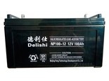 德利仕NP100-12