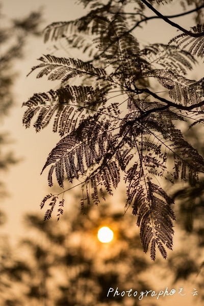 ܣCanonEF 85mm f/1.8 USM ͷ Զ㶨ͷ