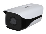  DH-IPC-HFW4833M-AS-I1