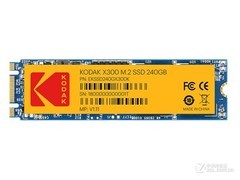 ´X300240GB