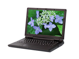 ���۳��� F555T