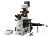 �῵��΢��Ti-E��ʵ����-���۵绰��ѯ