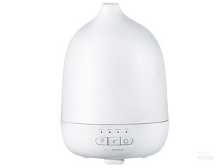 ŷ����Ѭ���ߵ�