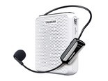 得胜E300W