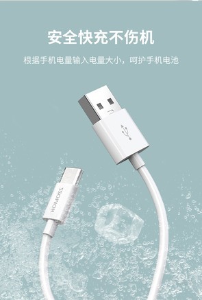 罗马仕type-c数据充电线 cb308(2m)