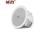 BOSE DS100F