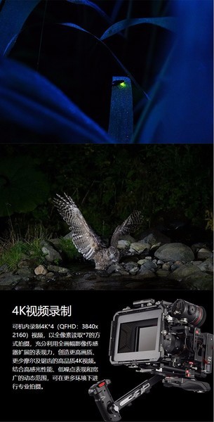 A7S II