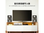 polk（普乐之声）HiFi+RCDN10 普乐之声RTIA3+天龙DCR-M41