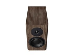 Dynaudio�����ã�40 �߹���ľ��
