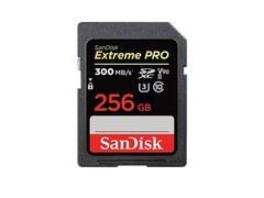 Canon�����ܣ�CanonSDHC 300M/S SD�� 256GB