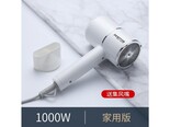 Midea（美的）AiBTNMZ2 珍珠白负离子【1000W】