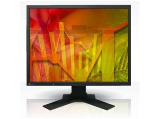 EIZO FlexScan S2133
