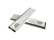  XPG  D300 DDR5 6400 64GB(32GBx2) ԰