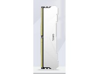 金邦巨蟹 DDR5 6400 24GB