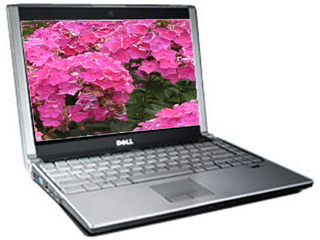 XPS M1330(Q510921)