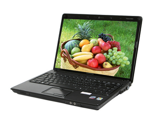 Compaq Presario V3911TU(FK613PA)