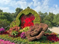 ƻ��iPhone 15 Pro��512GB��������1