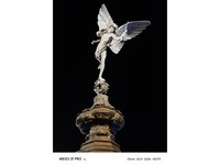 ����21 Pro(12GB+256GB)������0