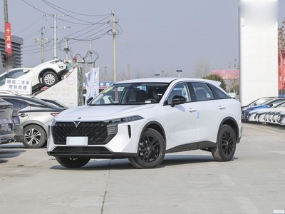 V 2024 260T ǰ Pro