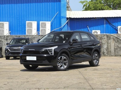  2023 1.5L 110KM춯