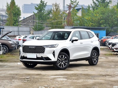 H6 2022  1.5T ԶPro