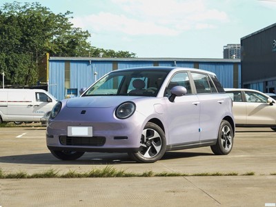 Ϊ Ϊ3 2023 505km Pro