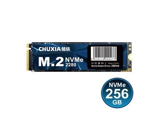 C20 256GB